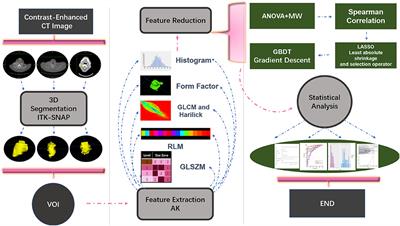 Radiomics Based on CECT in Differentiating Kimura Disease From Lymph Node Metastases in Head and Neck: A Non-Invasive and Reliable Method